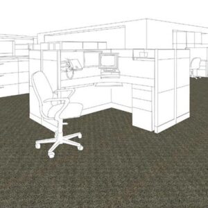 Installation Coir Palm