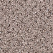 Commercial Carpet in Pembroke Pines
